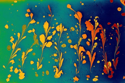 Beautiful abstract art of Ebru marbling painting techniques on water with acrylic paints