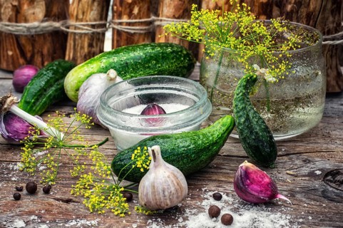 Cucumber pickled with dill and garlic on wooden table.Photo tinted