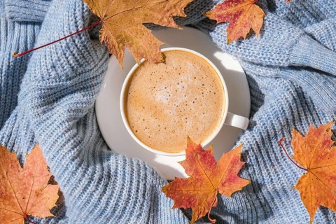 White cup of morning warming coffee on blue knitted sweater with maple yellow leaves background.