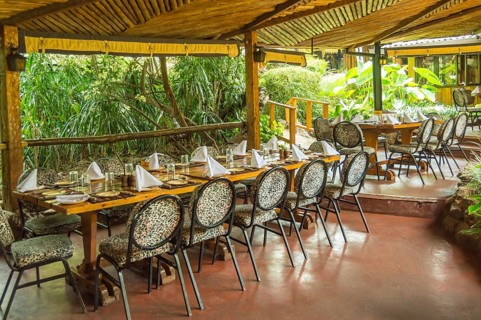 Table set on a jungle-colored terrace in a tropical environment in a restaurant in Nairobi, Kenya,