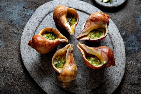 Food, Food, Chilean giant snails with butter, garlic and herbs on gray stone plate. escargot from