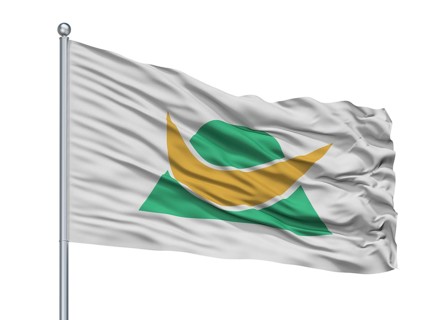 Shinshiro City Flag On Flagpole, Country Japan, Aichi Prefecture, Isolated On White Background