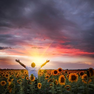Man with raised hands enjoys with beauty world