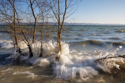 Roaring frozen lakeshore trees fighting with wild waves, Hörnle, Constance, Lake Constance,