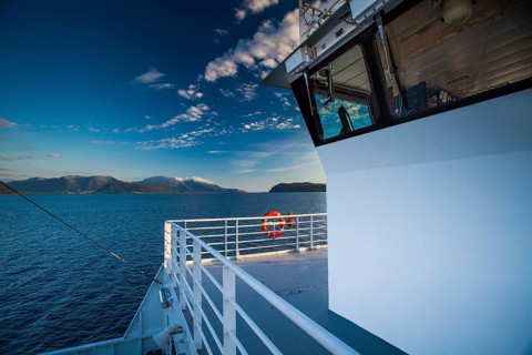 Railing with lifebuoy