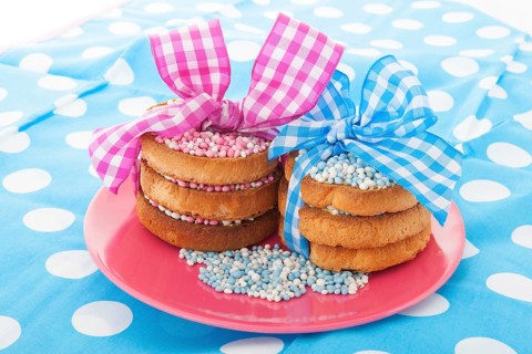 Dutch tradition with pink mice on biscuit while baby born isolated over white background