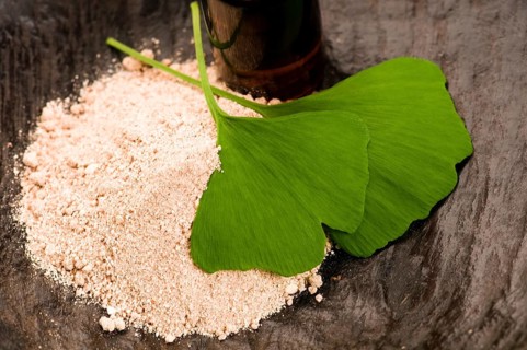 Fresh leaves ginko biloba essential oil and powder - beauty treatment, poland