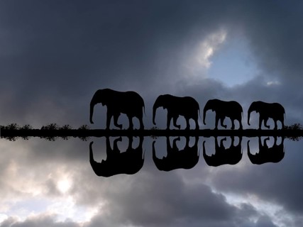Photomontage, Elephant family reflected in the water during a thunderstorm, (Loxodonta africana),
