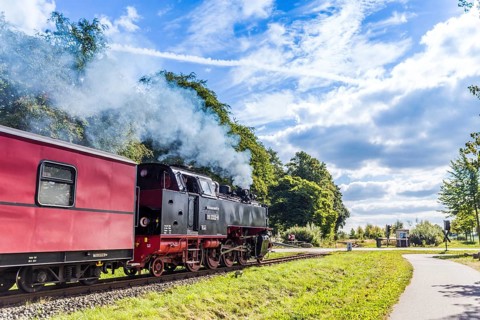 Molli train