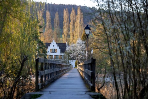 Wooden footbridge to the island of Werd, monastery island, Untersee, Eschenz, Thurgau, Switzerland,
