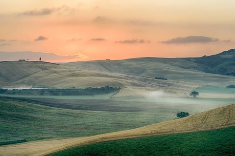 Crete Senesi Crete Senesi are literally Siennese clays and the distinctive grey colouration of the