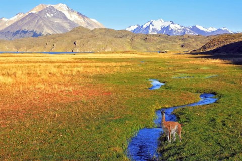 The solitary Estancia in the national park Perito Moreno in Argentina.The huge valley surrounded by
