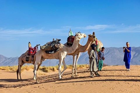 Group of camels with people in a sandy desert landscape with mountains in the background, Tuareg