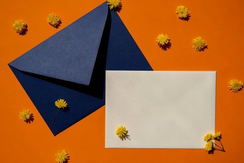 Beautiful little yellow chamomile daisies flowers on postal blue envelope on orange background,