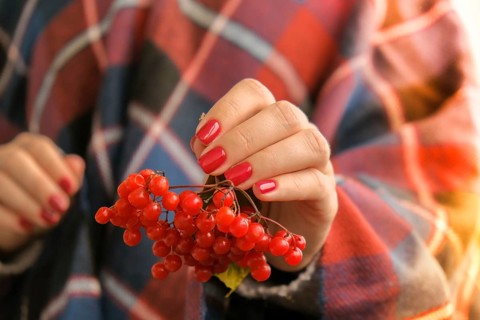 Stylish red female nails. Hands Holding Red Currants. Modern Beautiful manicure. Autumn winter nail