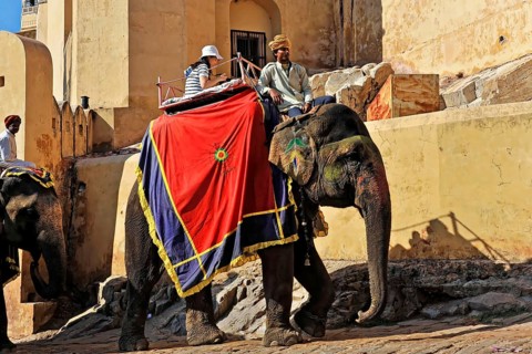 Fort Amber, Amber, near Jaipur, Rajasthan, North India, India, Asia, Elephants decorated with