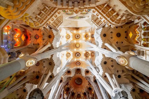 For the vault in the nave of La Sagrada Familia church, Antoni Gaudi drew inspiration for his