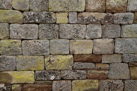 Dry stone wall, vineyard, museum vineyard, garden design, ecology, horticulture, Allmende Stetten,