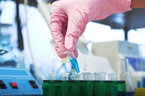 Workplace modern laboratory for molecular biology test
