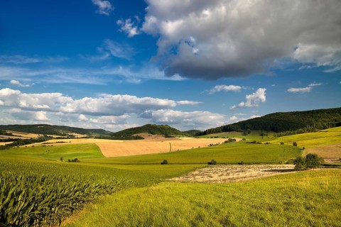 Summer landscape near Jena with cloudy blue sky