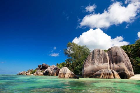 La Digue, Palm tree beach, Seychelles, Indian Ocean, Palm trees, La Digue, Indian Ocean,