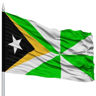 Dili City Flag on Flagpole, Capital City of East Timor, Timor-Leste, Flying in the Wind, Isolated
