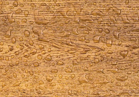 Great wooden background with a section from an oak plank with water drops on it. The wood, which is