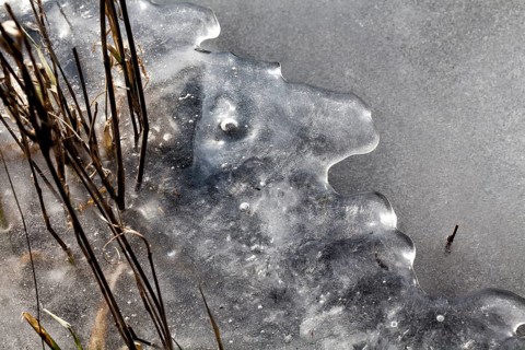 Ice floe, Weser River, looks like a face, Oberweser, Weser Uplands, Weserbergland, Hesse, Germany,