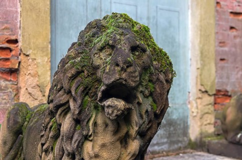 Moss-covered stone lion head. A fragment of a stone statue in the old park. Italy