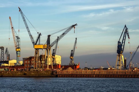 Harbour cranes on the Elbe - Port of Hamburg