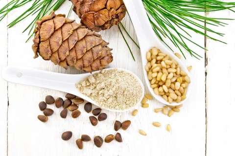Cedar flour and peeled nuts in two spoons, two cones, a green cedar branch on background of a light