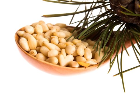 Pine nuts, lodz, poland