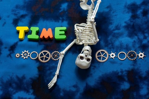 Time wording, cogwheels and artificial skeleton as time concept