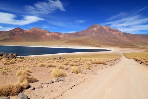 Laguna Miscanti in the Atacama Desert in Chile