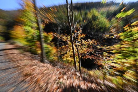 DEU, Germany, Iserlohn: The autumn colours enchant the forest in the Sauerland and also the people