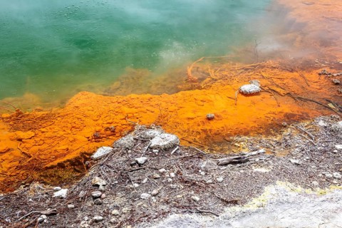 An image of the hot sparkling lake in New Zealand