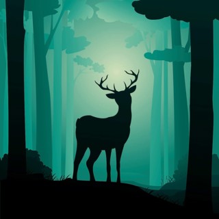 Roebuck in the forest