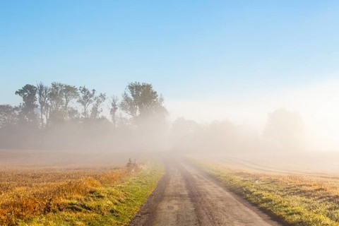 Morning mist over a road in the countryside
