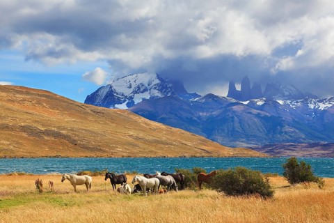 Chilean Andes. Fabulous lake Laguna Azul. Distance are seen three rocks Torres del Paine. On the