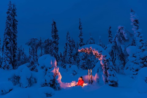 Man around a campfire, Muddus National Park, Laponia World Heritage Site, Norrbotten, Lapland,