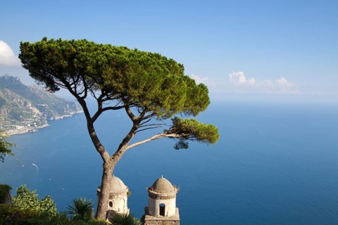 Amalfi Coast seen from Ravello, with a tree and a church in the foreground, Revello, Italy Ravello,