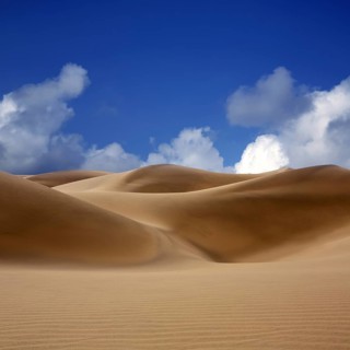 Desert dunes sand in Maspalomas Oasis Gran Canaria at Canary islands