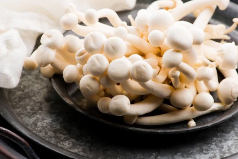 White beech mushrooms, Shimeji mushroom
