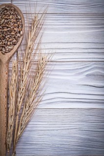 Wheat-rye ears wooden spoon grain on wood board