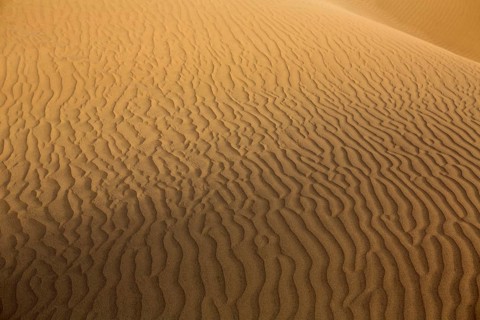 Desert sand dunes texture in Maspalomas Gran Canaria at Canary islands
