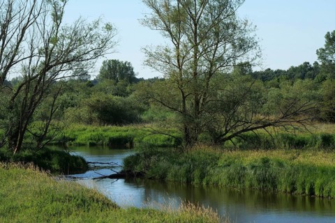 The Sude and tributaries of the Elbe in the Suden lowlands between Boizenburg and Besitz. The Elbe