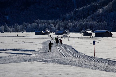 Winter landscape in the snow, cross-country skier on cross-country trail through snowy landscape,