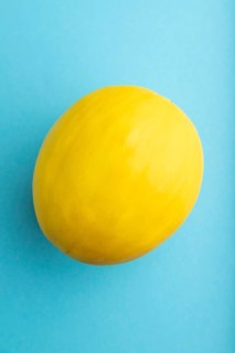 Ripe yellow melon on blue pastel background. Top view, flat lay, close up. harvest, healthy, vegan
