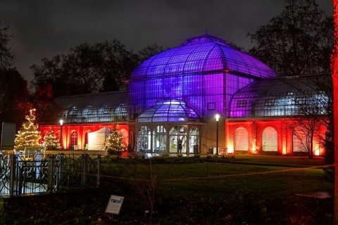 The Winter Lights will take place in the Palmengarten in Frankfurt from 7 December 2024 to 12