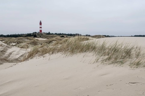 Dune landscape with lighthouse, Süddorf, Amrum, Schleswig-Holstein, Germany, Europe